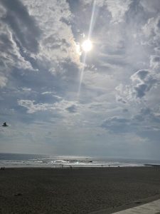久しぶりの海
