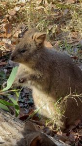 埼玉県こども動物自然公園