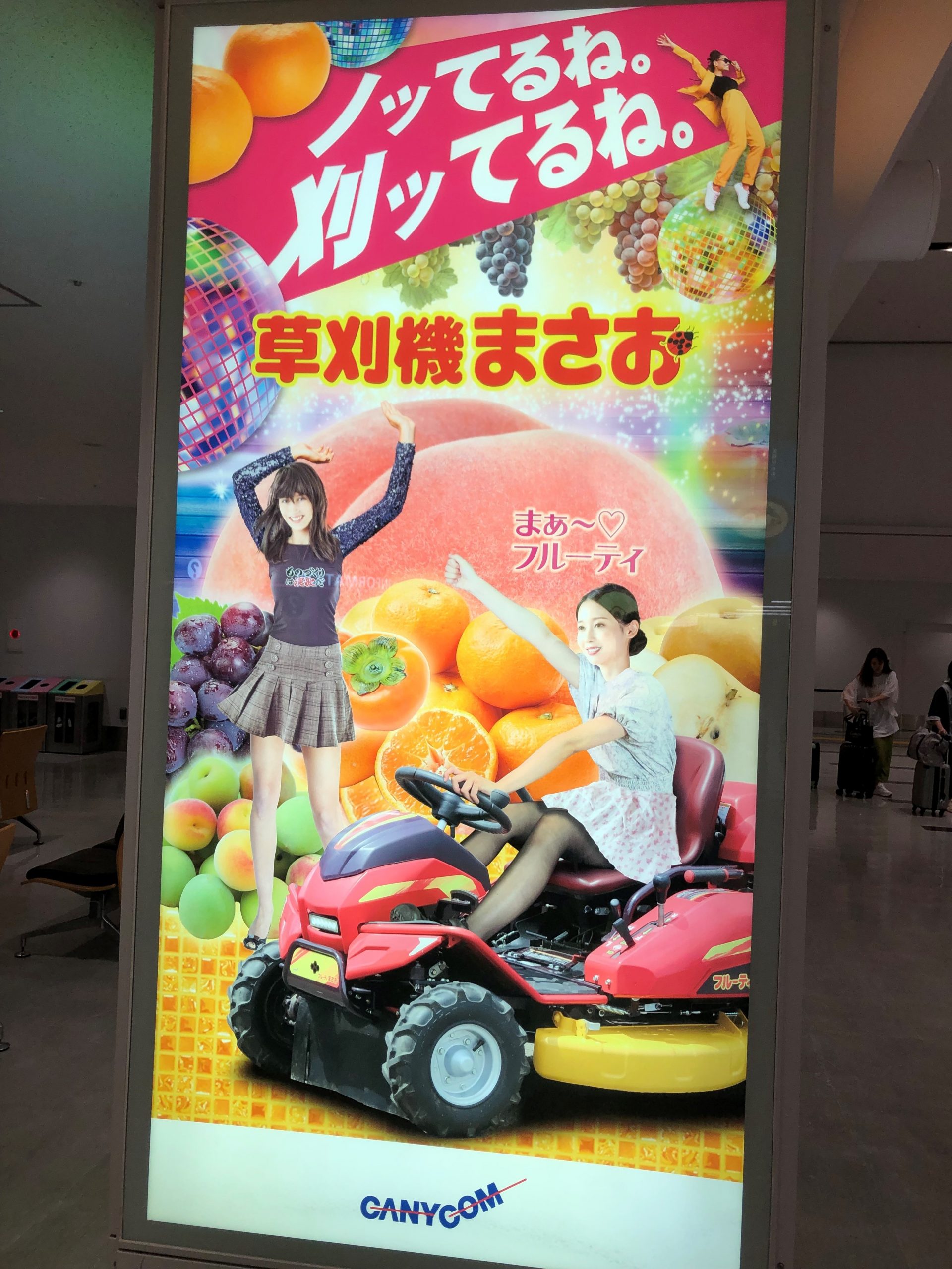 写真で一言５５