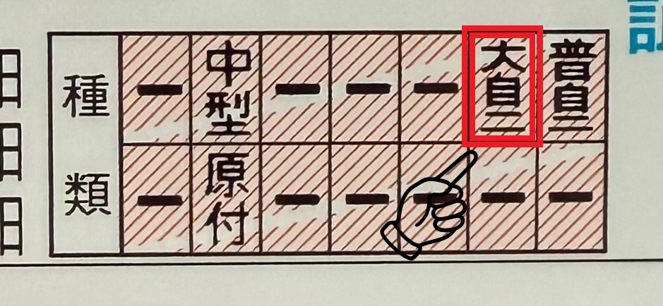 イージューライダー