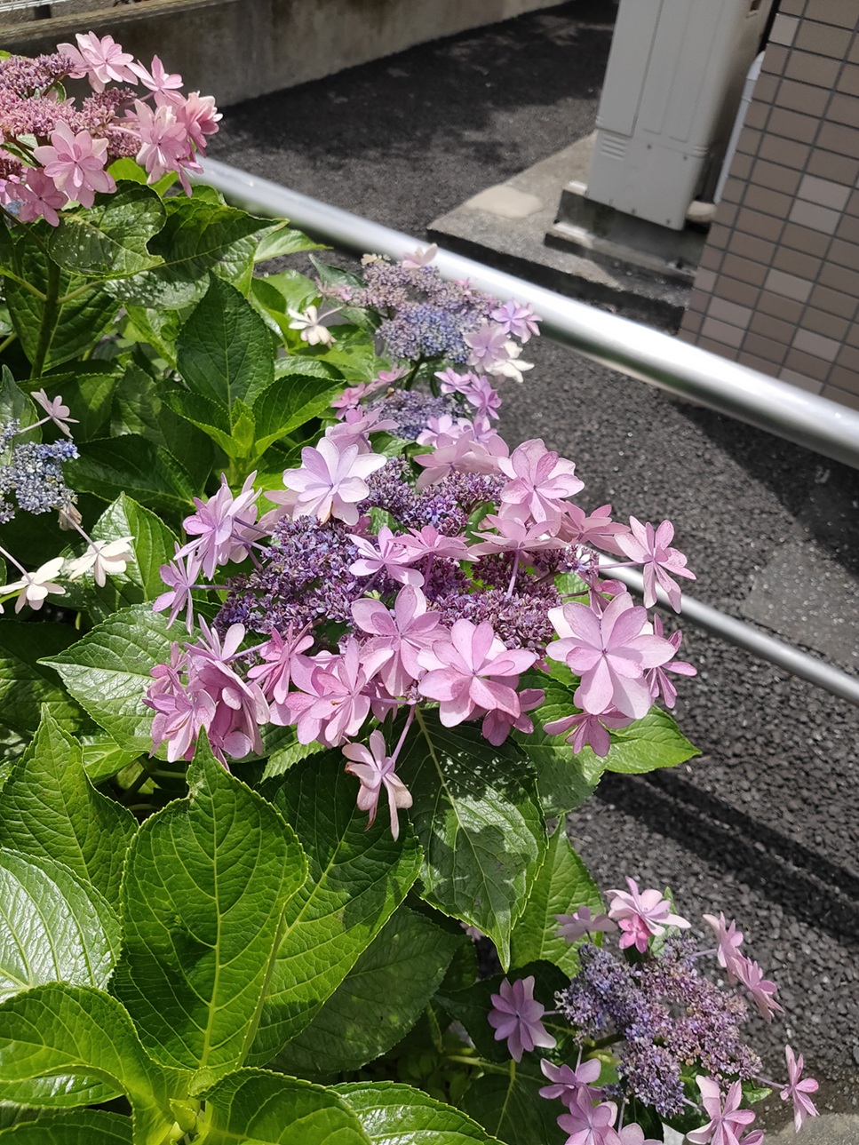 素敵な