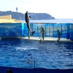 水族館！