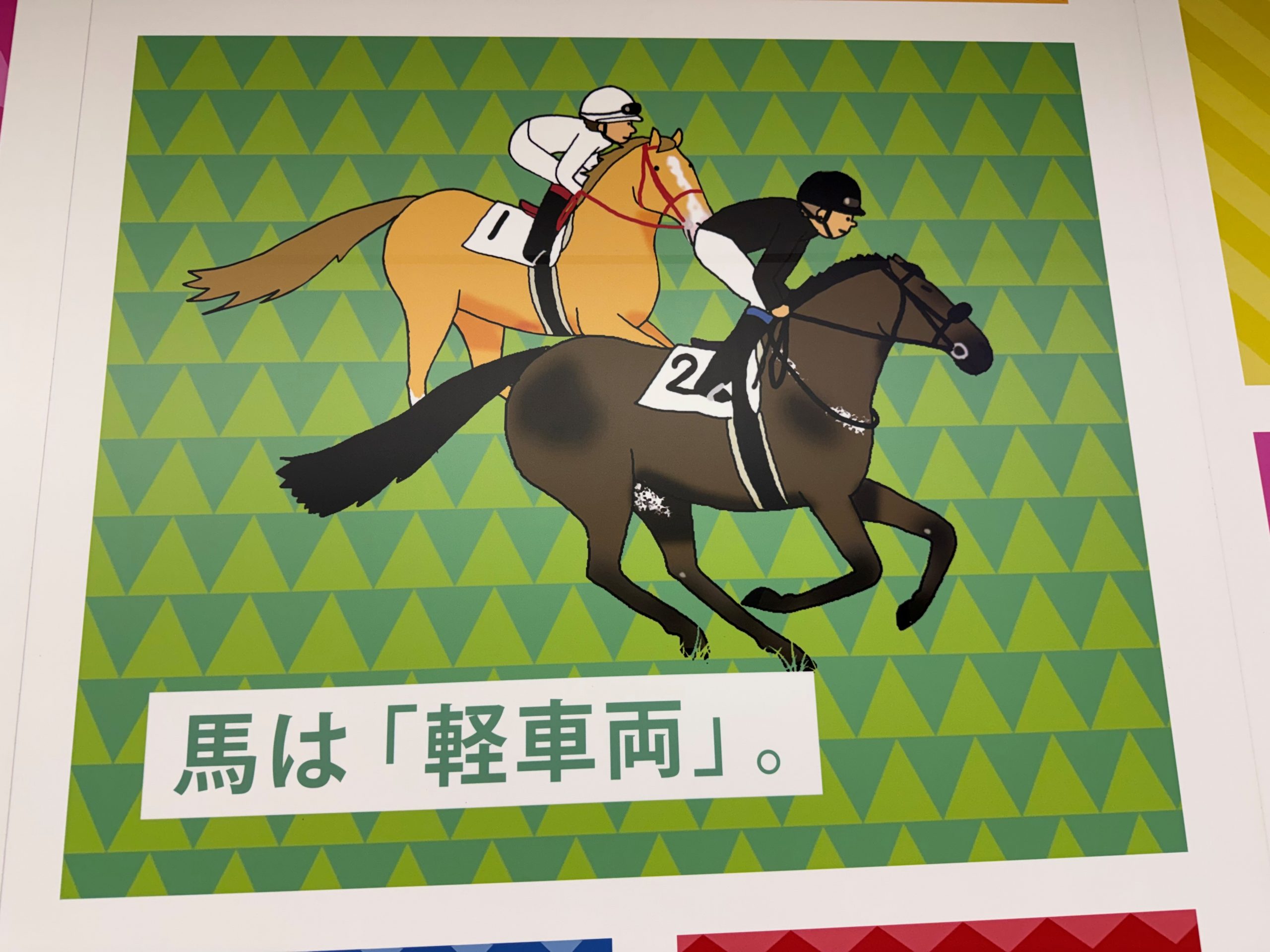写真で一言６２